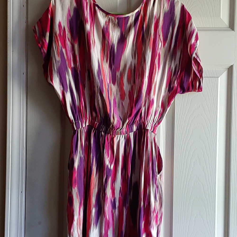 Express Dress - Picture 2 of 3
